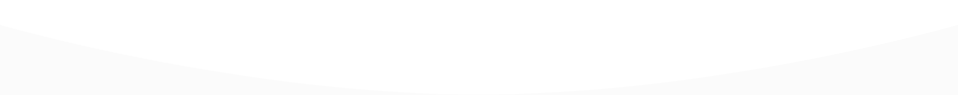 header bottom